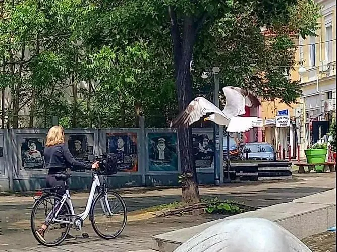 център Appartement Burgas